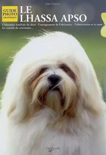 Lhassa apso alain fournier - alain,