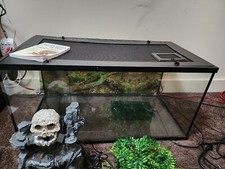 Reptile Starter Bundle