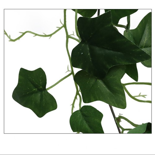 élégante décoration - Élégante,