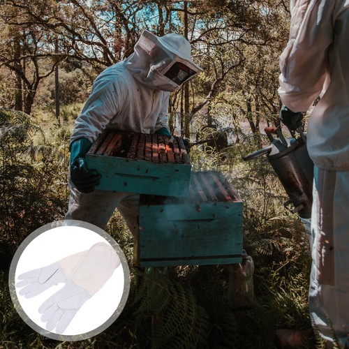 Matériel apiculture - matériel, d'apiculture