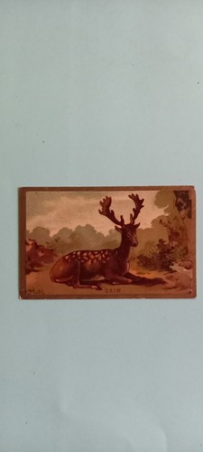 Chromo daim chasse - daim,