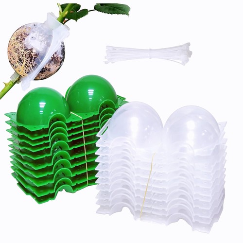 20pcs boule marcottage - boule,