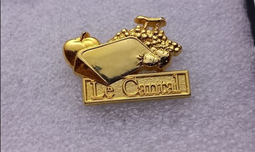 Ed292 pin gold cantal - gold, le