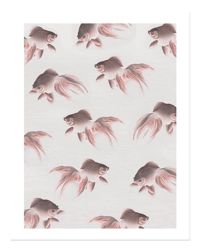 Affiche art mural - mural, poisson