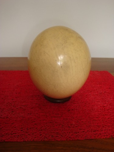 Oeuf autruche objet de - d',
