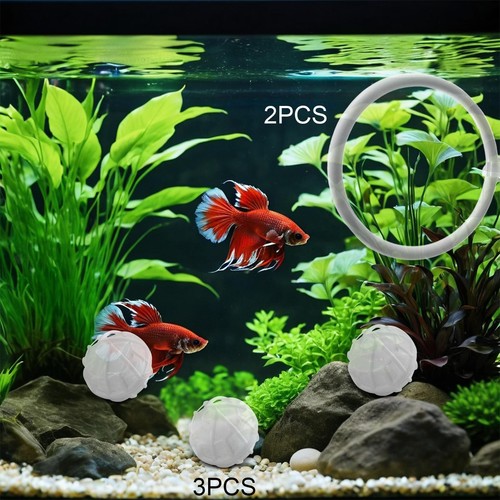 Betta fish exercise ring - ring, and