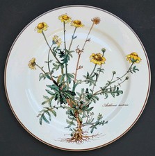 Sublime ASSIETTE PLATE signée