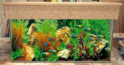 Aquarium 166 litres complet - 166,