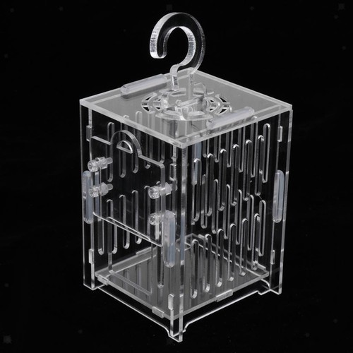 Terrarium acrylique pour - terrarium,