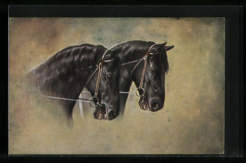 Carte postale têtes - 2, de