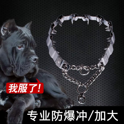 Collier chaîne dressage chien - collier,