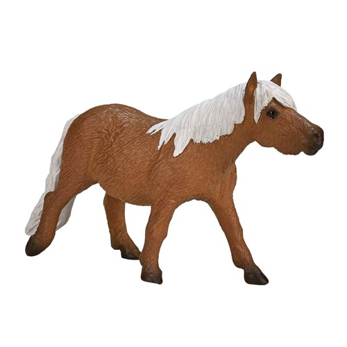 Mojo shetland pony horse - shetland,