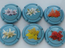 Série de  6 . capsules  de