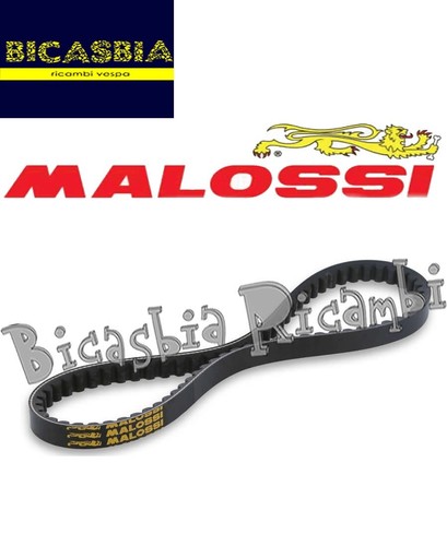 18853 courroie malossi x - courroie,