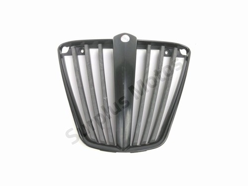 Grille radiateur piaggio - grille,