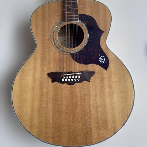 Guitare washburn j28s12dlk - washburn,