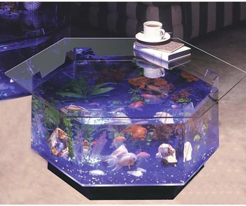 Gallon aquarium coffee - 40,