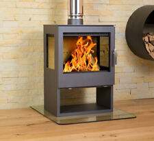 Poêle à bois Cheminée Chauffage  Victoria 05 Modena Vision -  9.8 kW