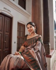 Sari Ethnique Bollywood