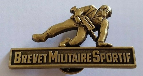 Insigne militaire brevet - insigne,