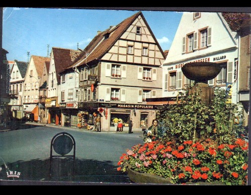 Haguenau commerce magasin - haguenau,