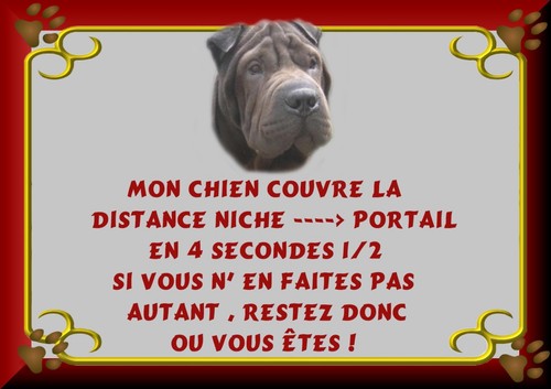 Plaque garde shar - de, shar-pei