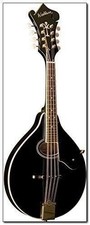 Washburn, 8-String Mandolin