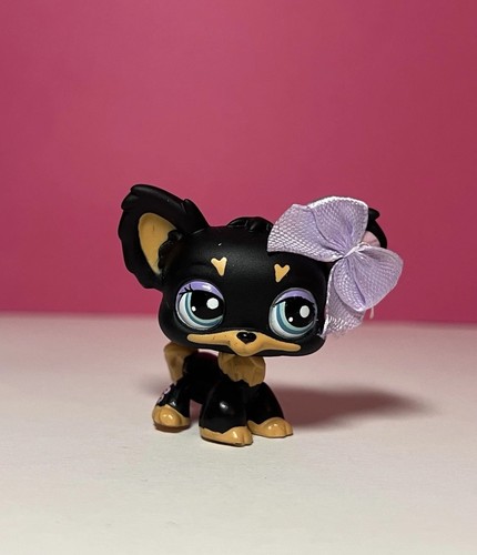 Littlest pet shop 1571 - 🌸littlest, #1571