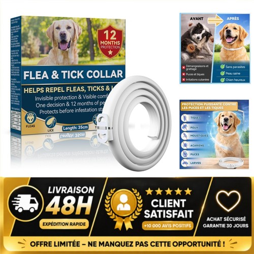 Collier anti puces chien - anti-puces,
