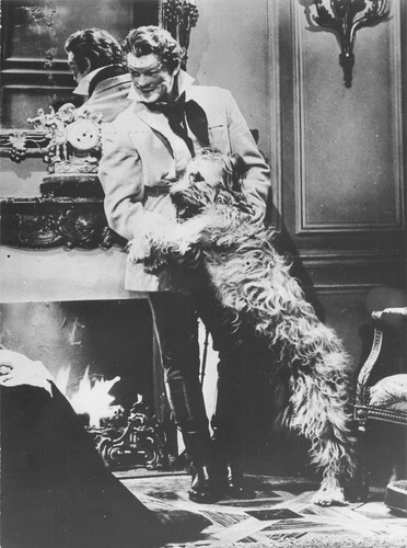Jean marais nez cuir - marais,