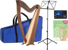 Irlandais Set Celtique Harpe