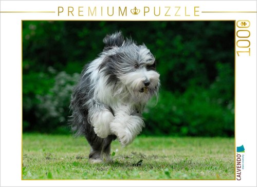 Calvendo puzzle rennender - calvendo,