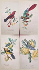  4 Gravures originales 1842