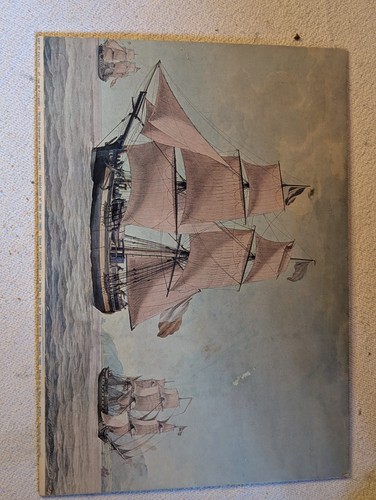 Tableau marine reproduction - -,