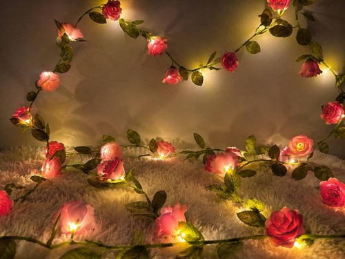 Guirlande lumineuse solaire