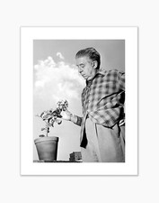 Affiche Eugenio Montale, 1956 Tirage Photographique Fine Art