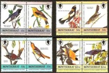 Timbres Oiseaux Montserrat