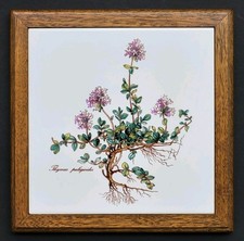 Très joli GRAND DESSOUS DE