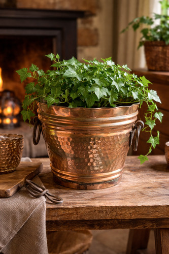 Cache pot porte - , cuivre