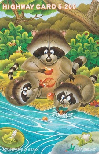 Japan card animal raccoon - japan,