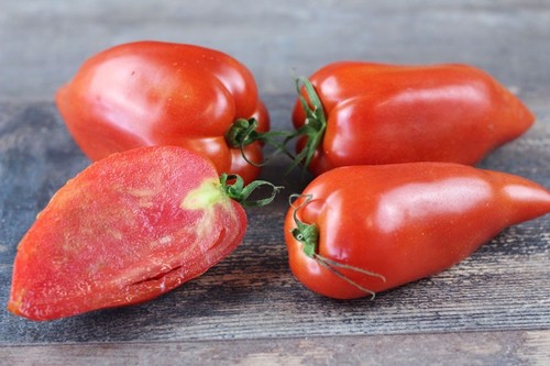 Graines tomate cornue - 25, de