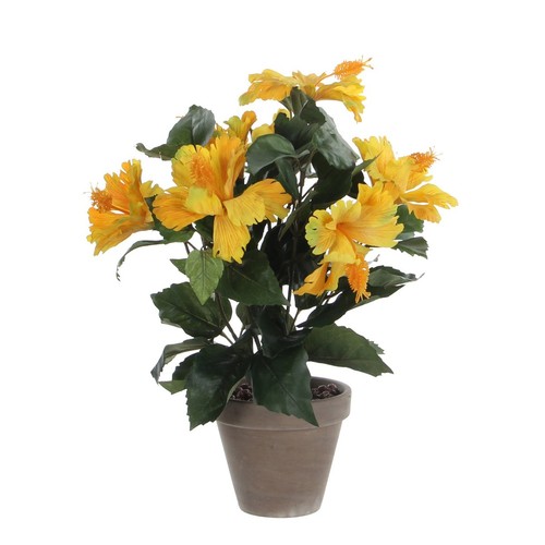 Mica decorations plante - mica,
