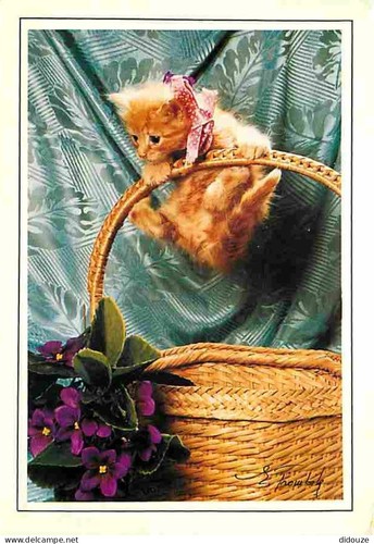 Carte postale animaux - -,