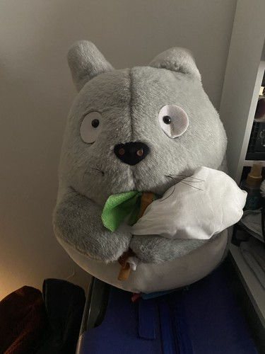 Grande peluche studio ghibli - studio,
