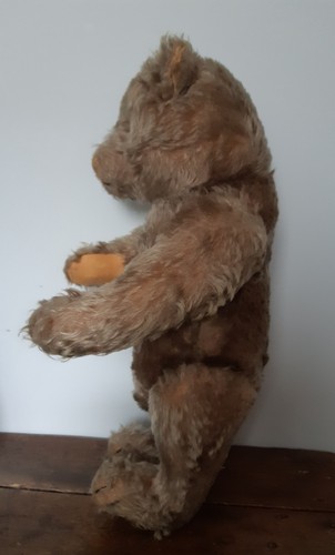Ours ancien grogneur steiff - ours,