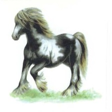 Irish Cob Horse Overglaze