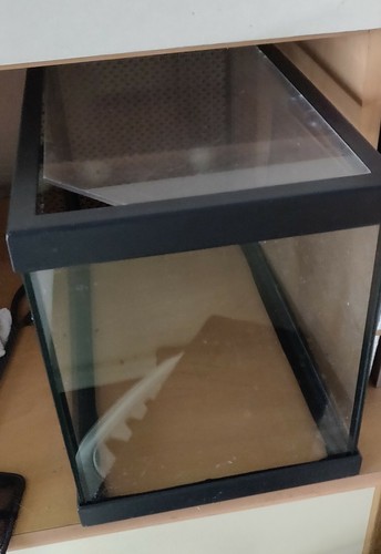 Aquarium 20l