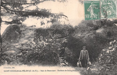 Saint nicolas du - 22-saint,