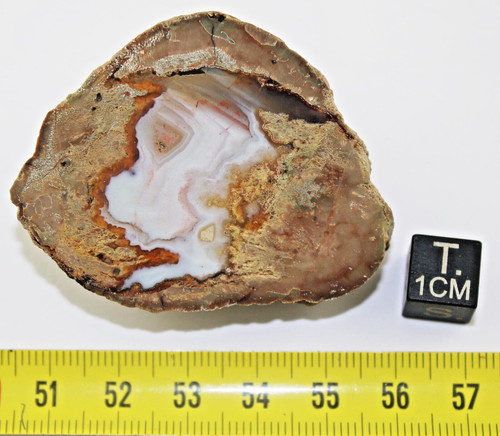 Lithophyse massif de - massif,
