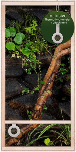 Terrarium osb bois 120 x - 60,